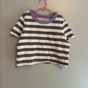 Madewell Purple, Brown, and White Striped Tee